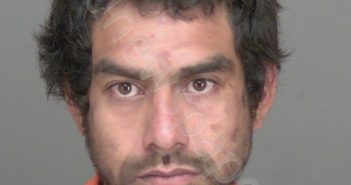 VASQUEZ, ROSENDIO JAVIER | 2025-03-21 19:27:26 | Highlands County, Florida Booking