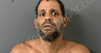 VAZQUEZ, LUIS | 2025-03-20 01:52:10 | Hardee County, Florida Booking