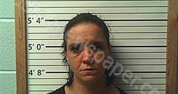 JONES, JESSICA NICOLE | 2025-03-18 02:33:21 | Cleburne County, Arkansas Booking