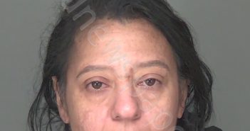 DE LEON ROMAN, INGRID CARIDAD | 2025-03-21 19:13:15 | Highlands County, Florida Booking