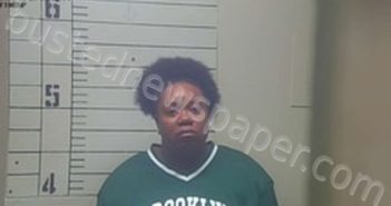 SANTANA SHINESE WILSON | 2025-03-22 01:05:34 | Clay County, Mississippi Booking