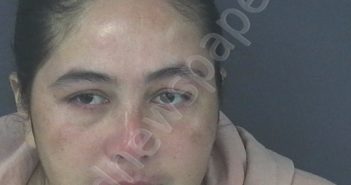 MARTINEZ ESCOBAR, AMADELIA | 2025-03-19 22:53:10 | Gadsden County, Florida Booking
