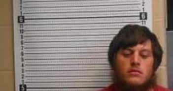 ALAN HARRISON | 2025-03-17 22:52:21 | Clark County, Arkansas Booking