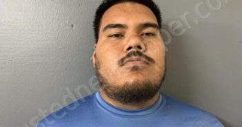 ROMERO CRUZ, URIEL | 2025-03-21 16:28:45 | Hardee County, Florida Booking