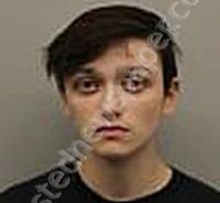BROWN, LEIGHLA SAMIRA ELISE | 2025-03-20 21:53:29 | Washington County, Idaho Booking