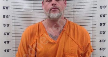 ABBOTT, HAROLD STEVEN | 2025-03-20 15:08:21 | Pickens County, Georgia Booking