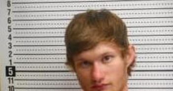 HUNTER DINKINS | 2025-03-17 22:51:23 | Clark County, Arkansas Booking