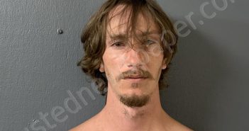 PHILLIPS, MICHAEL ALAN | 2025-03-21 16:28:29 | Hardee County, Florida Booking
