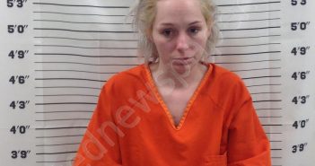 BOWERS, ANGELA | 2025-03-20 14:17:21 | Pickens County, Georgia Booking