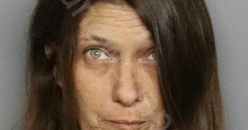 ODOM, JEANETTE MARIE | 2025-03-19 06:19:28 | Charlotte County, Florida Booking
