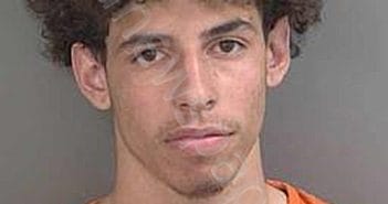 ROSARIO,ERICK | 2025-03-19 12:11:09 | Collier County, Florida Booking