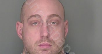 WILLIS, SILAS IRIE | 2025-03-21 19:15:06 | Highlands County, Florida Booking