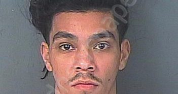 GONZALEZ ROSADO, BRAYAN | 2025-03-21 18:03:27 | Hernando County, Florida Booking