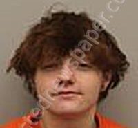 PARENT, RAYNE KAHTERYN ROSE | 2025-03-20 21:53:23 | Washington County, Idaho Booking