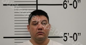 FRANCISCO ELIAS FLORES | 2025-03-22 05:00:06 | Broadwater County, Montana Booking