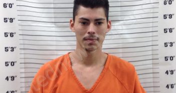 ESCOBAR TELLEZ, JOSE ISRAEL | 2025-03-20 14:16:02 | Pickens County, Georgia Booking