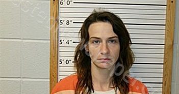 MCKINNEY, ASHLEY NICOLE | 2025-03-18 12:25:49 | Cleburne County, Arkansas Booking