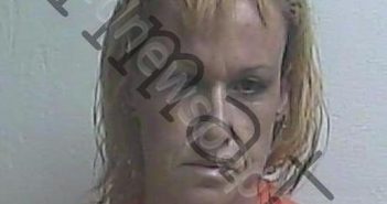 LUCE, KATHLEEN DAWN | 2025-03-20 00:15:02 | Gilchrist County, Florida Booking