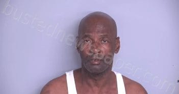 TYSON, RAYMOND PERNELL | 2025-03-19 00:30:06 | Bradford County, Florida Booking