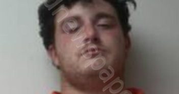 DALLAS JAMES WILLIAMSON | 2025-03-07 12:22:13 | Autauga County, Alabama Booking
