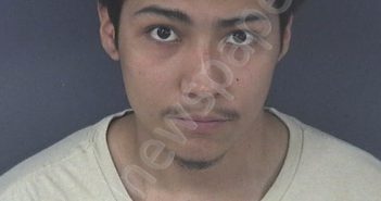 PLEITEZ, ENRIQUE ALEXANDER | 2025-03-19 22:50:13 | Gadsden County, Florida Booking