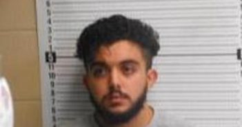 IBRAHIM ELHAJ | 2025-03-17 20:17:26 | Clark County, Arkansas Booking