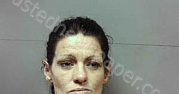 MEGAN V POLOUS | 2025-03-19 19:17:08 | Franklin County, Florida Booking