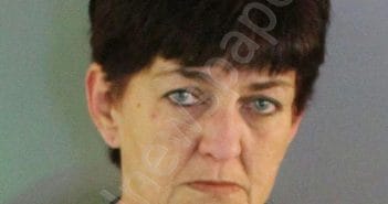 WILSON, REBECCA LYNNE | 2025-03-19 06:21:43 | Charlotte County, Florida Booking