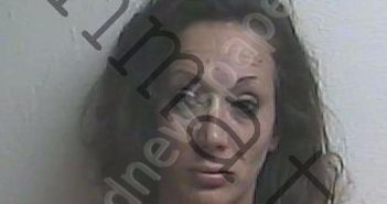 STEELE, KATIE FAYE | 2025-03-20 00:01:52 | Gilchrist County, Florida Booking