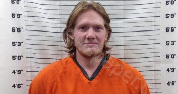 INGRAM, AUSTIN DANIEL | 2025-03-20 14:10:29 | Pickens County, Georgia Booking