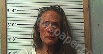 DILLEY, MICHELLE COLLEEN | 2025-03-18 02:38:19 | Cleburne County, Arkansas Booking