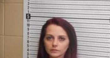 HOLLY LAW | 2025-03-17 20:18:43 | Clark County, Arkansas Booking