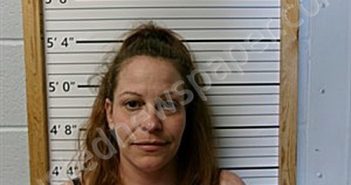 TWEED, LISA MARIE | 2025-03-18 12:29:51 | Cleburne County, Arkansas Booking