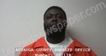 MICHAEL SEAN WILLIAMS-LEE | 2025-03-07 12:05:47 | Autauga County, Alabama Booking