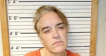 WATKINS, LIANA MICHELLE | 2025-03-18 12:20:51 | Cleburne County, Arkansas Booking