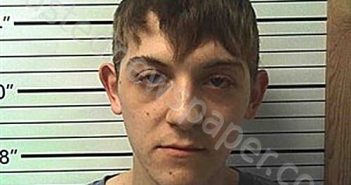 SHEPARD, DONOVAN JORDAN | 2025-03-18 02:34:41 | Cleburne County, Arkansas Booking