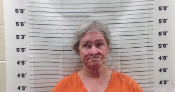 SMITH, LESLIE | 2025-03-20 15:12:33 | Pickens County, Georgia Booking