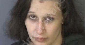 GREENWAY, VICTORIA | 2025-03-19 08:42:09 | Clay County, Florida Booking