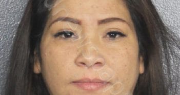 REYES VENEGAS, ROSA ELVIA ELVIA | 2025-03-19 05:24:03 | Broward County, Florida Booking