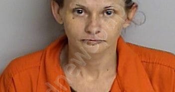 TUBERVILLE, MALISSA LYNN | 2025-03-18 22:27:35 | Bradford County, Florida Booking