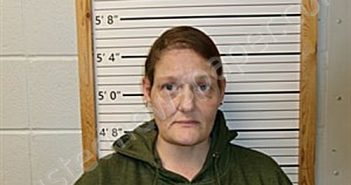 HERNANDEZ, TWILA MARIE | 2025-03-18 12:28:53 | Cleburne County, Arkansas Booking