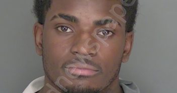 BROWN, LADARIUS MEHKI | 2025-03-21 19:23:06 | Highlands County, Florida Booking