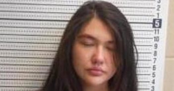 JANELL RANSOM | 2025-03-17 22:46:00 | Clark County, Arkansas Booking
