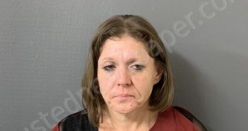 MINOR, SAMANTHA D | 2025-03-21 16:32:29 | Hardee County, Florida Booking