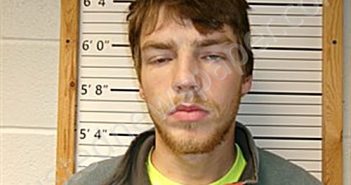 LAWSON, TYLER LANE | 2025-03-18 12:19:59 | Cleburne County, Arkansas Booking