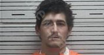 HOLLYN CHASE MANN | 2025-03-07 12:05:03 | Autauga County, Alabama Booking