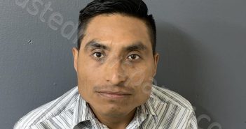 MORALES PATISHTAN, MARIO | 2025-03-21 16:29:20 | Hardee County, Florida Booking