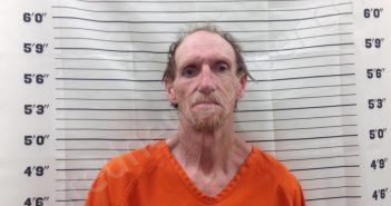 HAYNES, JOSEPH DAVID | 2025-03-20 15:08:12 | Pickens County, Georgia Booking