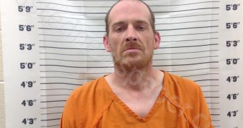 MOONEY, MICHAEL ANTHONY | 2025-03-20 14:01:22 | Pickens County, Georgia Booking