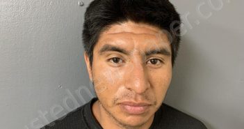 HERNANDEZ- LAZARO, ALDAIR | 2025-03-20 01:55:27 | Hardee County, Florida Booking
